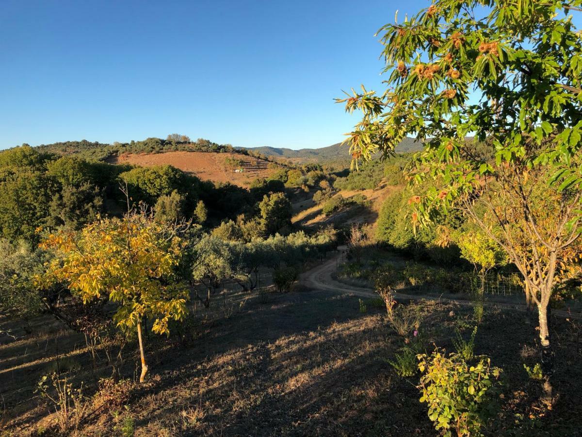 Casa Rural En Constantina Luaran gambar